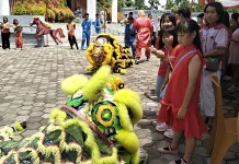 Seribu Lamipon dan Atraksi Barongsai Meran Imlek di Biak