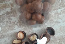 Ratu Kacang Macadamia