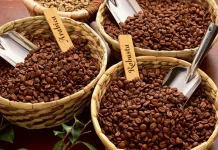 Mengenal Perbedaan Kopi Robusta dan Arabika