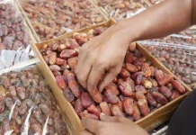 Kurma Asli atau Palsu? Simak Cara Membedakannya