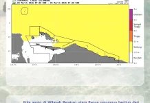 BMKG Keluarkan Peringatan Dini Gelombang Tinggi di Perairan Papua 4-7 Maret