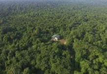 Taman Nasional Tesso Nilo