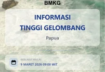 BMKG Keluarkan Peringatan Dini Gelombang 1,25–2,5 Meter di Sejumlah Perairan Papua