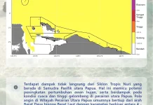 BMKG: Dampak Siklon Nuri Picu Gelombang hingga 2,5 Meter di Perairan Utara Papua