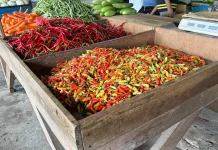 Harga Cabai dan Bawang Merah Naik Pasca Idul Fitri di Biak