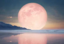 Bulan Pink Hiasi Langit Malam 1 April 2026