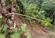 Cuaca Ekstrem, BPBD Supiori Imbau Warga Waspada