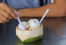 Es Krim di Batok Kelapa Muda, Kuliner Unik Indonesia dari Pontianak