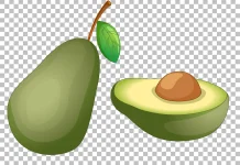 Kenapa Alpukat Disebut Superfood? Ini Fakta dan Manfaatnya