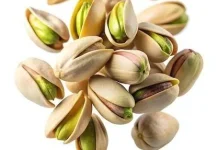 Sejarah Kacang Pistachio Dari Timur tengah ke Dunia