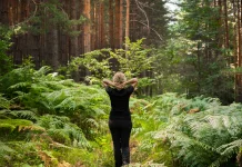 Mengenal Forest Bathing, Tahasia Relaksasi dari Alam Terbuka