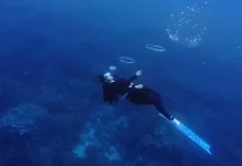 Semangat Penyelam Perempuan Satu Nafas, Melestarikan Keindahan Bawah Laut Biak