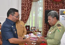 Wabup Biak Serahkan  Penghargaan  Kepada Kaum Perempuan Inspiratif.