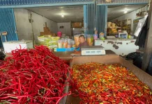 Per Senin 27 April 2026, Harga Cabai Rawit di Biak Capai Rp60Ribu perkilogram
