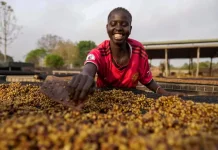 Jelajahi 193 Negara, Pria Ini Temukan Kopi Terenak di Sudan, Afrika Timur