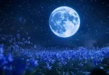 Fenomena Double  Purnama Terjadi di Bulan Mei 2026