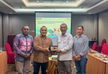 Sinergi PLN dan Komisi XII DPR RI: Akselerasi "Papua Terang"