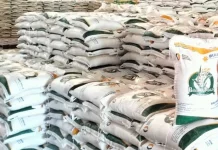 Bulog Biak Pastikan Penyaluran Beras Bapang di Akhir Mei 2026