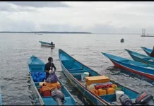 BMKG Rilis Cuaca Tiga Pelabuhan Utama Papua, Gelombang Laut Diprakirakan Rendah