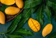 Benarkah Mangga Bikin Gemuk?