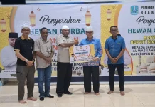 Gubernur Papua.Serahkan Bantuan Hewan Kurban di Masjid Agung Baiturrahman Biak
