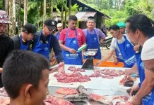 Jemaah Masjid Al Kautsar Pulau Numfor Kurban 2 Ekor Sapi