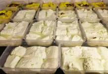 Mengenal Keju Khas Batak Toba “Dali Ni Horbo”