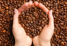 Rasa Nusantara Mendunia: 2 Kopi Indonesia Masuk Top 5 2026