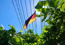 Euforia Piala Dunia, PLN Imbau Warga Jaga Jarak Aman Atribut dari Jaringan Listrik