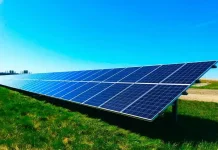 Minyak Kayu Putih Bisa Wujudkan Energi Hijau