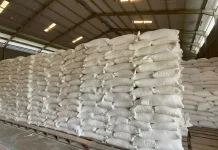 Bulog Biak Pastikan Stok Beras Aman untuk Biak Numfor dan Supiori