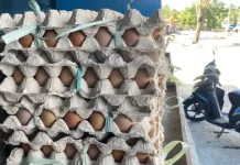 Kelangkaan Pasokan, Harga Telur Lokal di Biak Tembus Rp80 Ribu per Rak