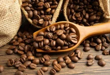 Bukan Sekadar Populer, Kopi Gayo Kini Masuk Daftar Kopi Terbaik Dunia 2026