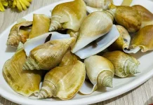 Menjelajahi Kuliner Nusantara Lewat Siput Gonggong Khas Bangka Belitung