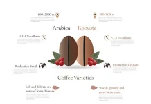Kopi Typica: Varietas Arabika Tertua dengan Aroma dan Cita Rasa Istimewa