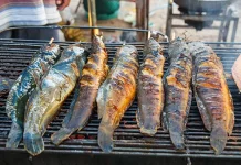 Mengulik Mangut Lele, Kekayaan Kuliner Indonesia dari Yogyakarta