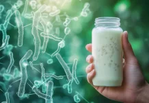 Perbedaan Postbiotik, Probiotik, & Prebiotik untuk Menjaga Kesehatan Pencernaan