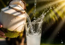 Air Kelapa Kaya Elektrolit, Simak Berbagai Manfaatnya untuk Tubuh