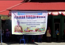 Dinas Pertanian dan Ketahanan Pangan Biak Numfor Gelar Gerakan Pangan Murah