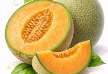 Manfaat Buah Melon untuk Tubuh Kita