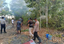 Tiga Titik Kebakaran Lahan di Yendidori,AWC Polres dan Damkar Pemda diturunkan