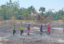 Sinergi Berbagai Pihak, Api di Areal Bandara Frans Kaisiepo Berhasil Dipadamkan