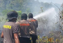 Karhutla di Biak Numfor,Polres Siagakan 130 Personel