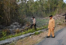 Bupati Biak Numfor Tinjau Karhutla di Kampung Mayendi dan Darfuar