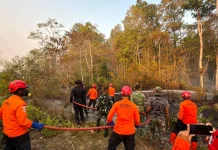 Karhutla di Biak Numfor,SAR Siagakan Puluhan Personel
