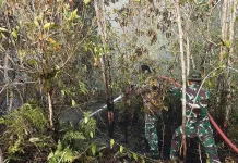 Ahli Sebut Perubahan Iklim Perparah Kebakaran Hutan