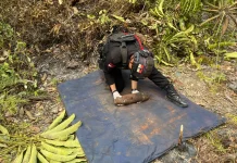 Ditengah Ancaman Karhutla, Brimob Biak Amankan Mortir PD-II Aktif di Area Kajasbo