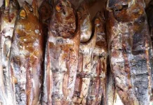 Menikmati Ikan Asar, Cita Rasa Papua dalam Kekayaan Kuliner Indonesia