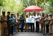 BPJS Kesehatan Dorong Pelestarian Pesisir lewat 1.100 Mangrove