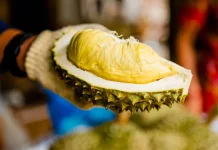 Biar Perut Tetap Nyaman, Hindari 5 Makanan dan Minuman Ini setelah Makan Durian
